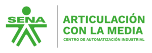 caiarticulacionmedia